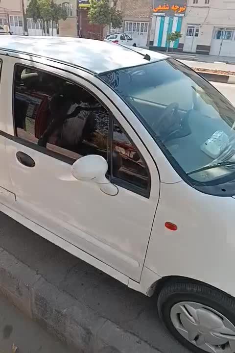 خودرو ام وی ام، 110 آگهی ann_20940344