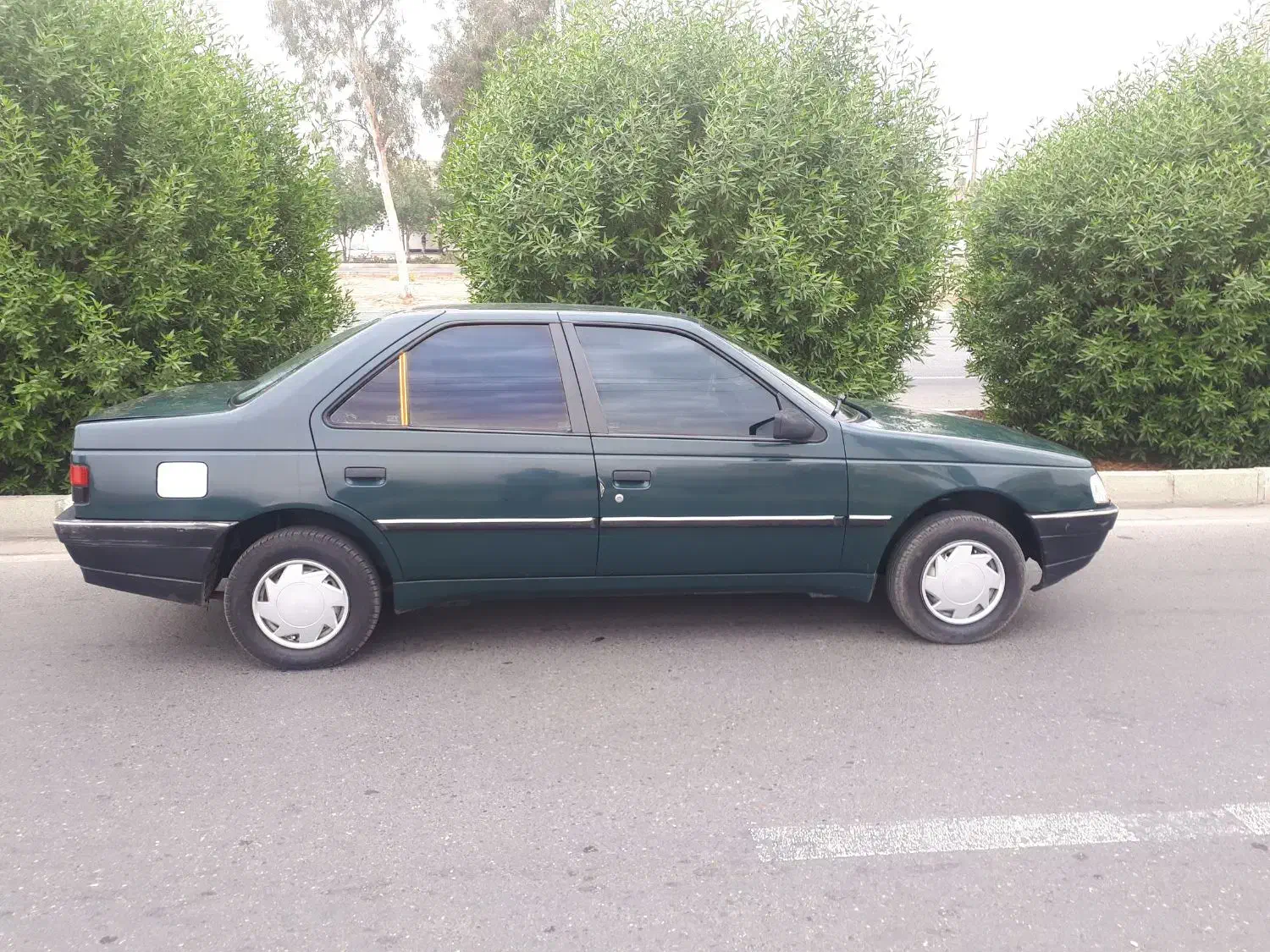 پژو آردی دوگانه سوز CNG - 1384