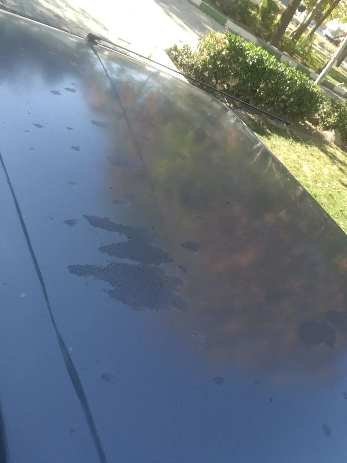 پژو روآ دوگانه سوز - 1386