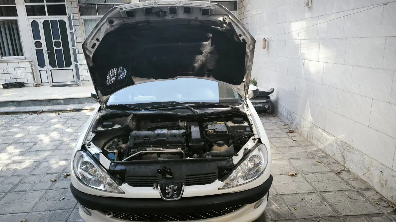 پژو 206 تیپ 5 - 1395