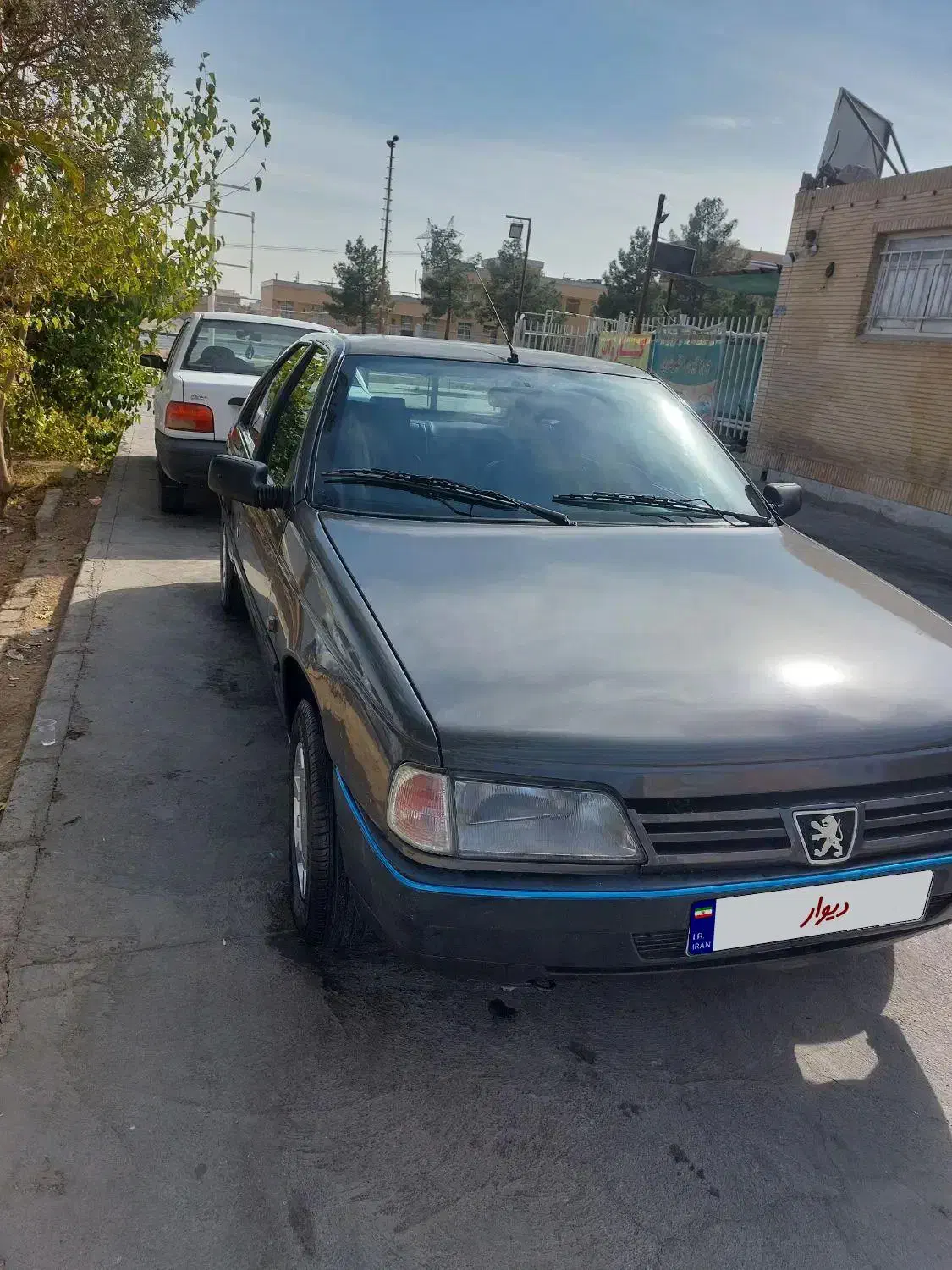 پژو روآ دوگانه سوز - 1387