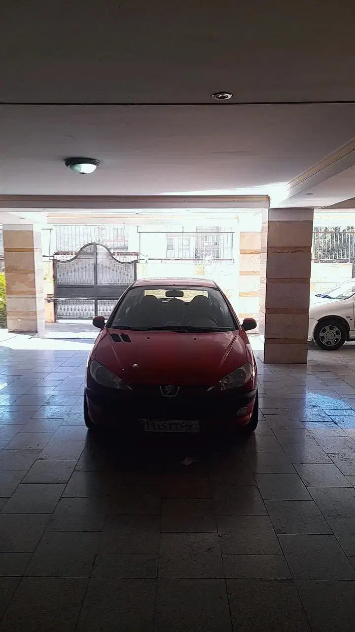 پژو 206 تیپ 5 - 1393