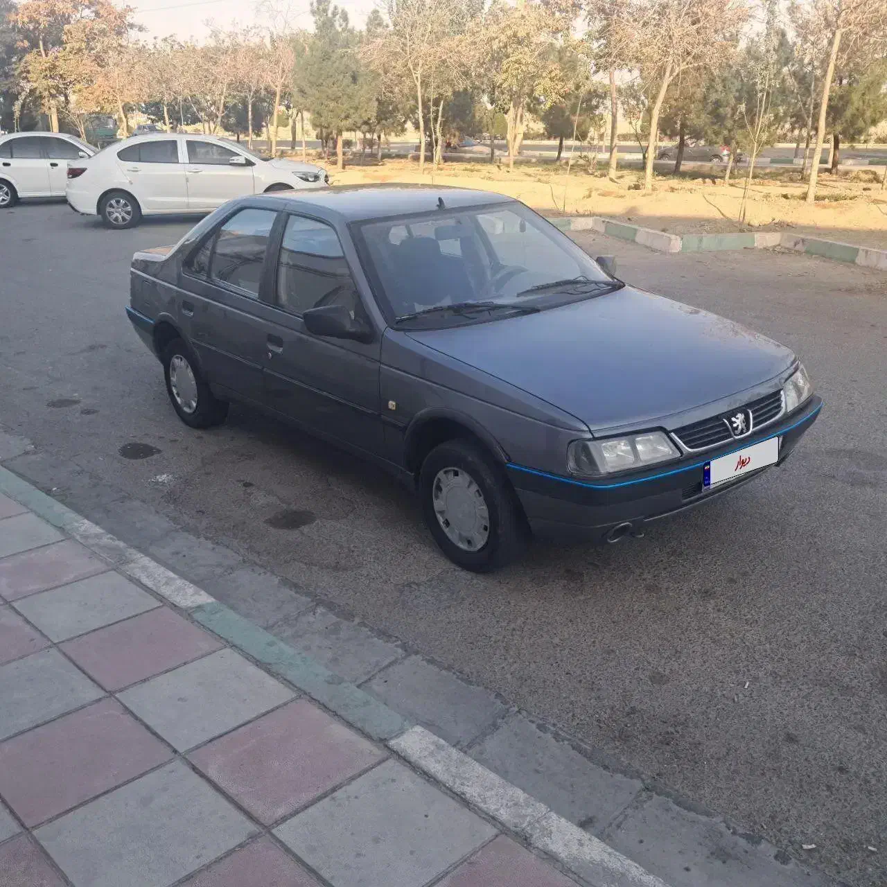 خودرو پژو، 405 آگهی ann_20941128