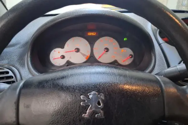 پژو 206 تیپ 5 - 1395