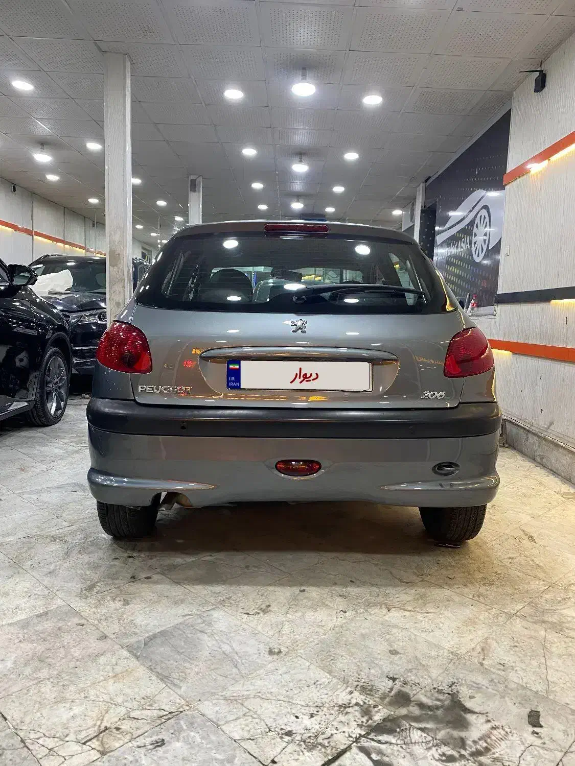 پژو 206 تیپ 2 - 1394