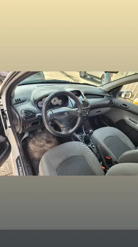 پژو 206 تیپ 2 - 1399