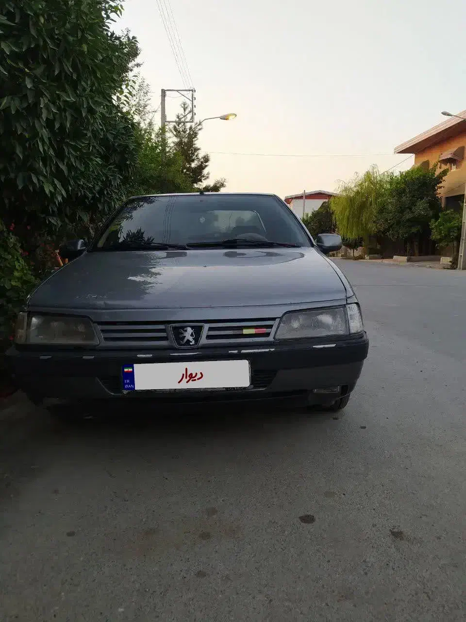 پژو 405 GLX - دوگانه سوز - 1389