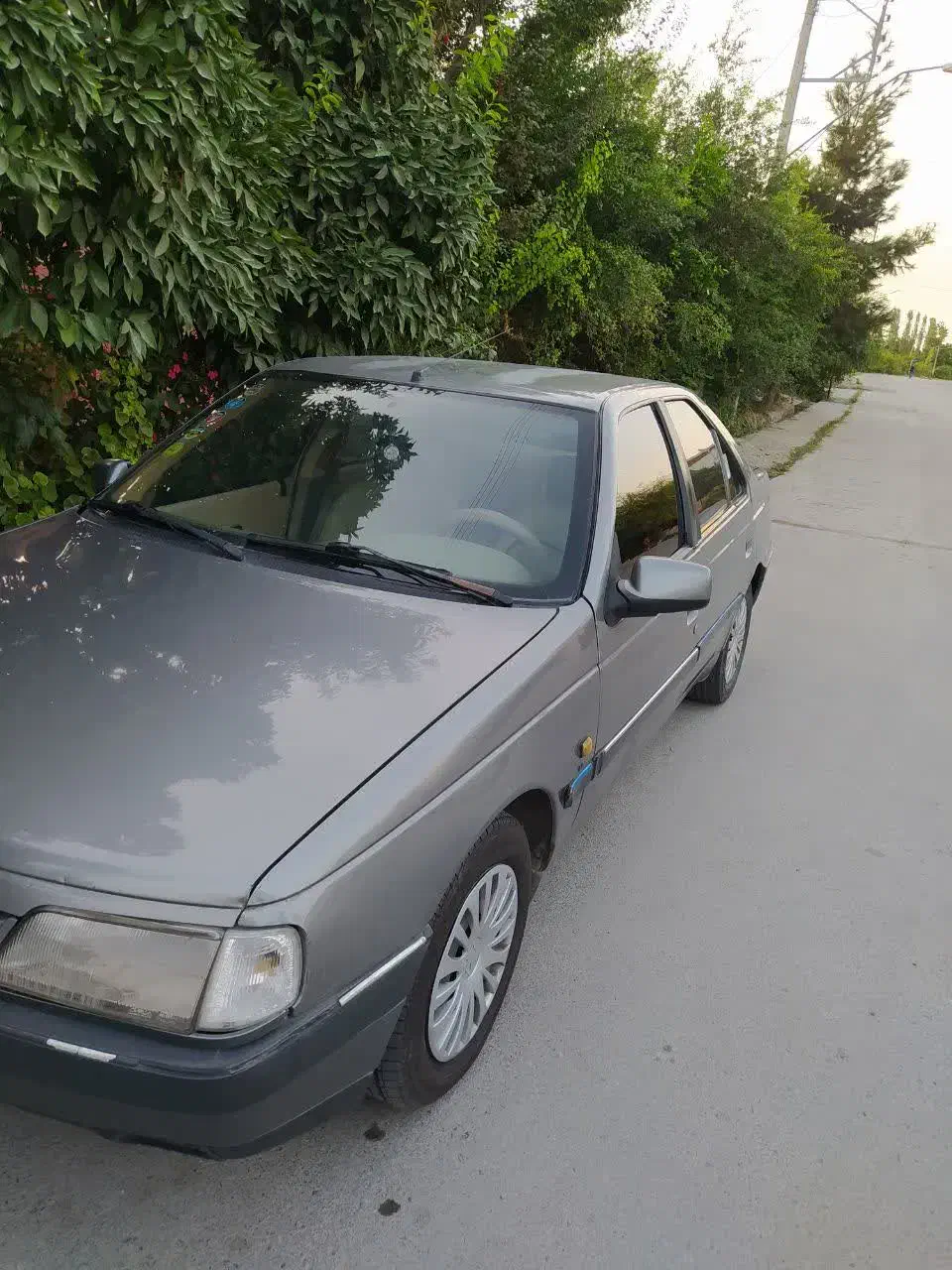 پژو 405 GLX - دوگانه سوز - 1389