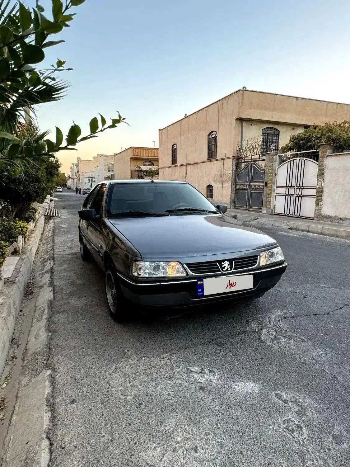 پژو 405 GLX - دوگانه سوز - 1394