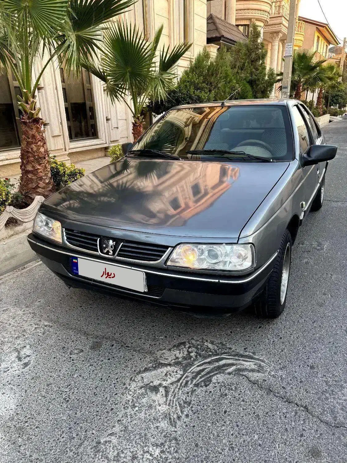 پژو 405 GLX - دوگانه سوز - 1394