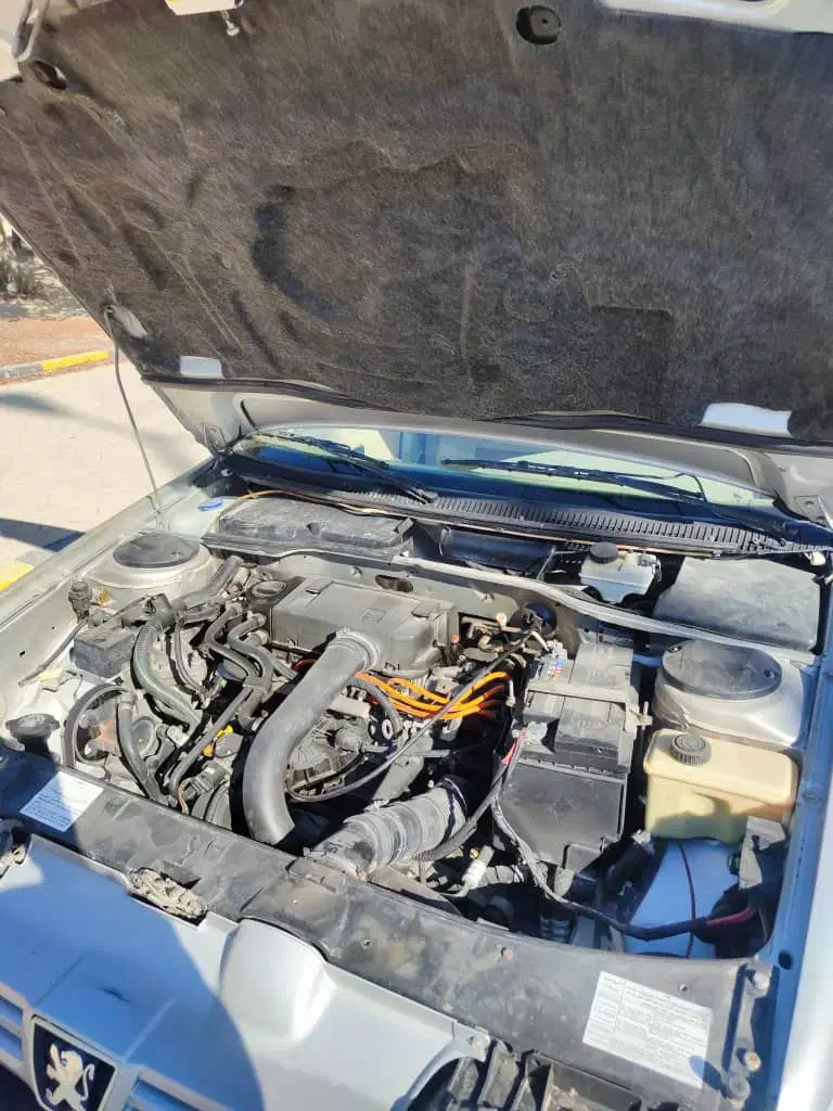 پژو 405 GLX - 1388