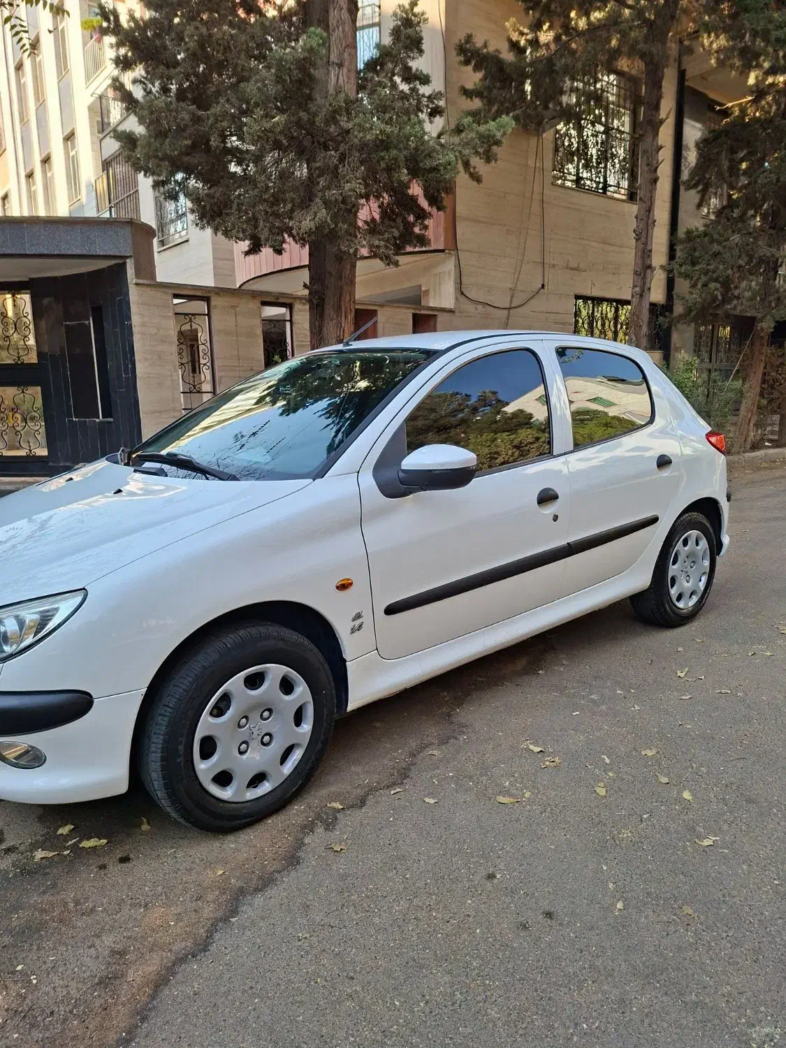 پژو 206 تیپ 2 - 1401