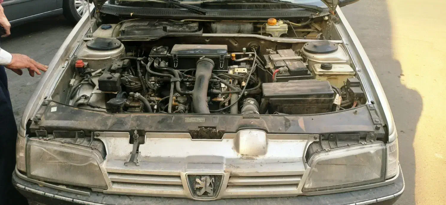 پژو 405 GLX - 1389