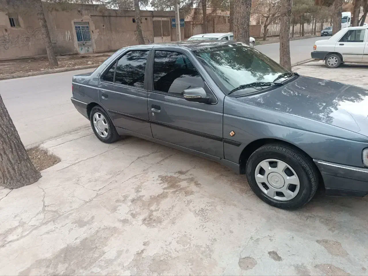 خودرو پژو، 405 آگهی ann_20945107