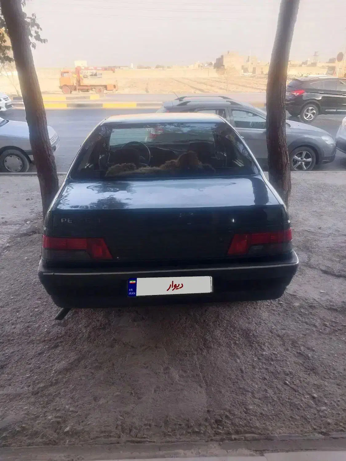 پژو آردی دوگانه سوز CNG - 1384