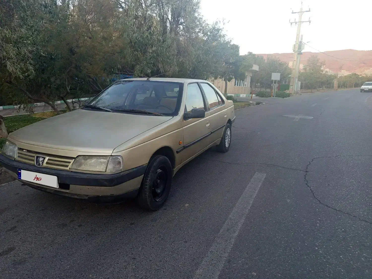 پژو روآ دوگانه سوز - 1386