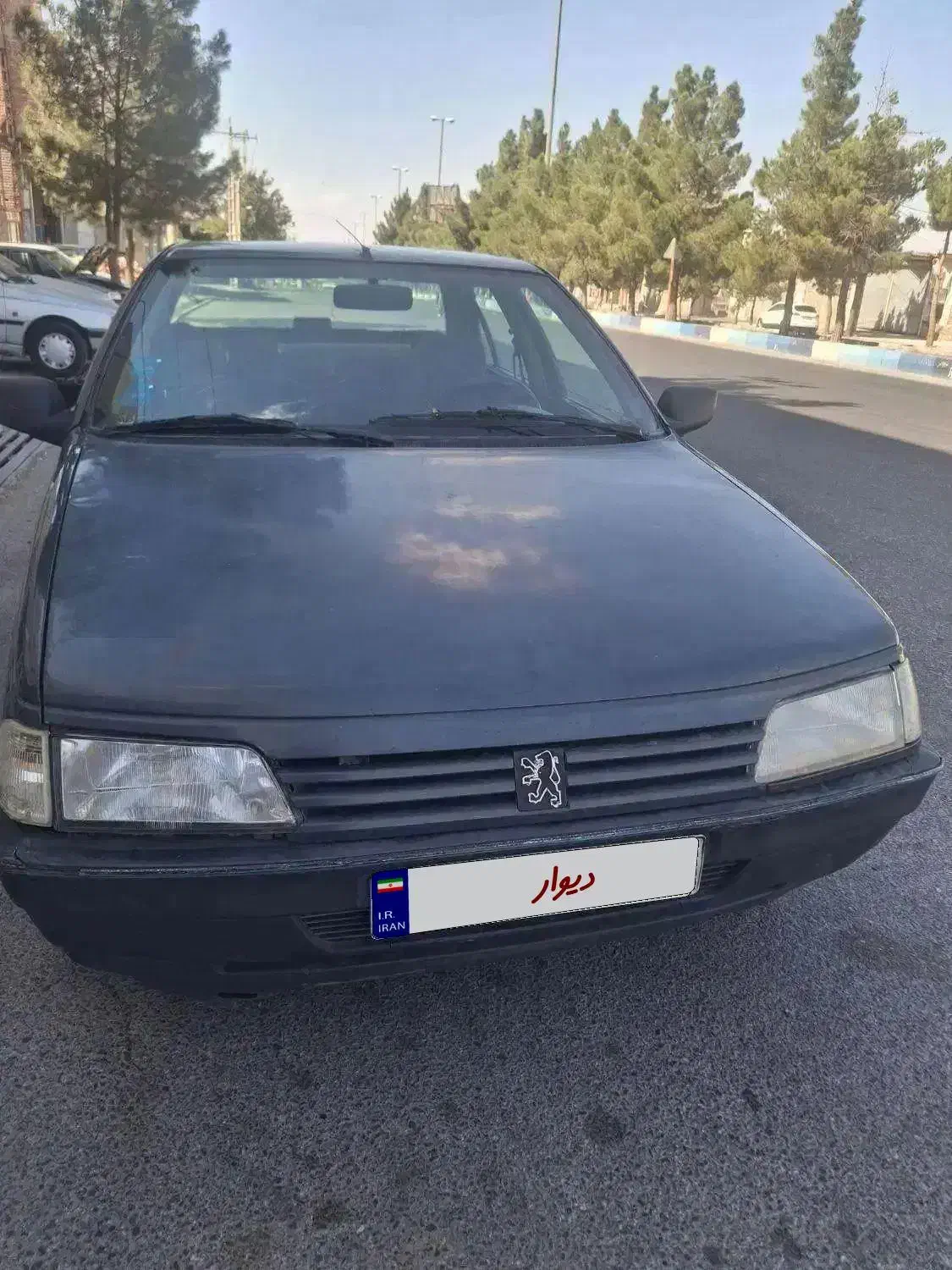 پژو روآ دوگانه سوز - 1385