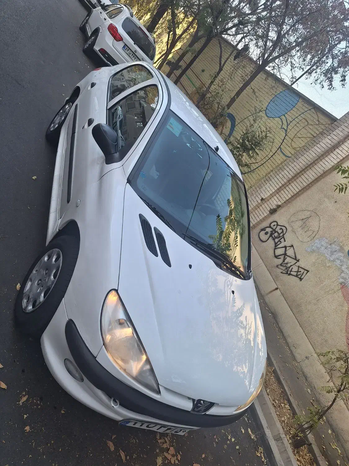 پژو 206 تیپ 2 - 1401