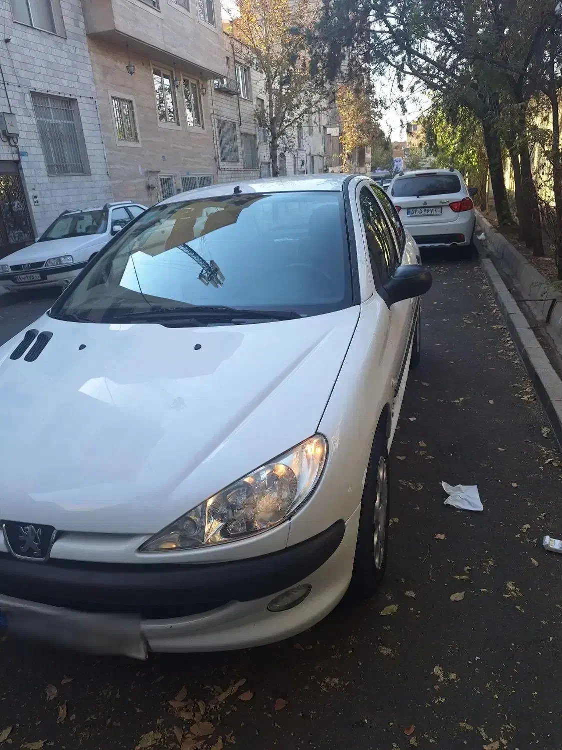 پژو 206 تیپ 2 - 1401