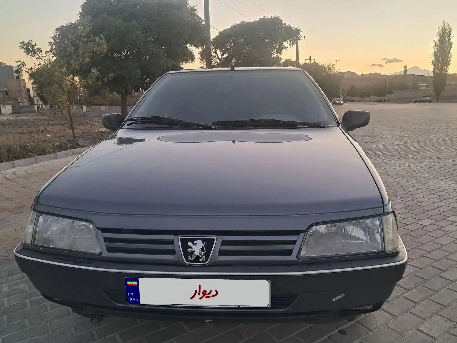 پژو 405 GLX - دوگانه سوز - 1396