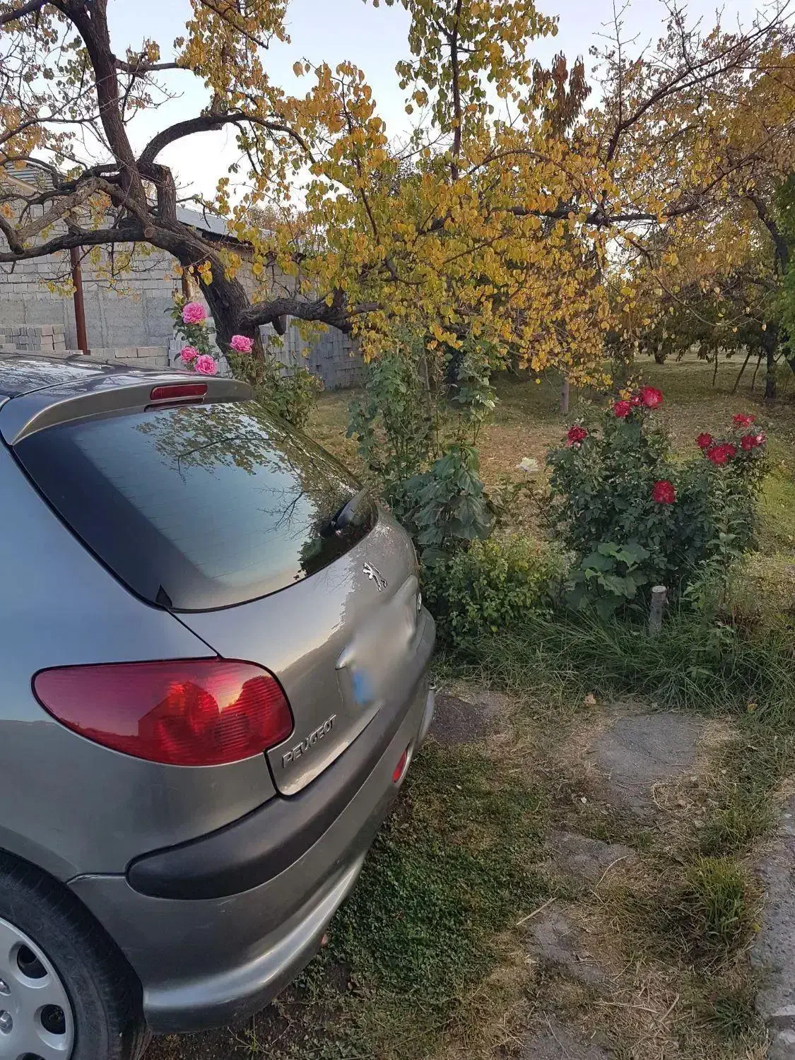 پژو 206 تیپ 2 - 1386