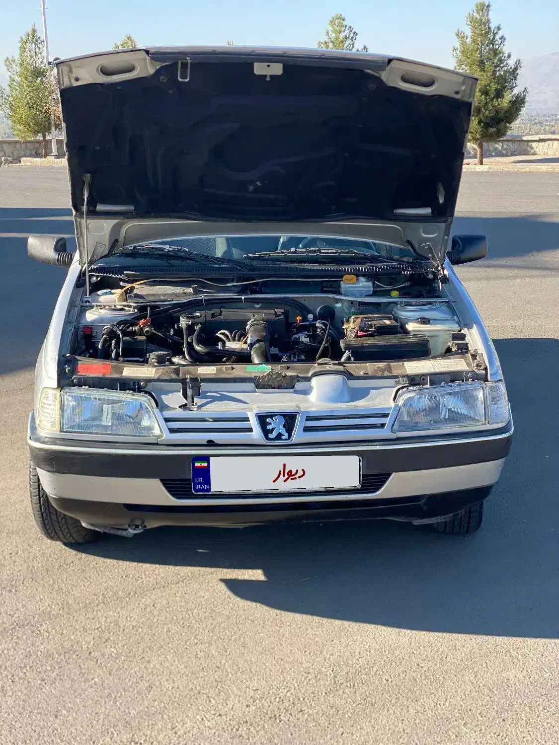 پژو 405 GLX - دوگانه سوز - 1389