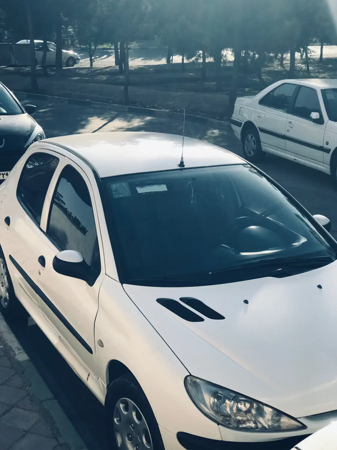 پژو 206 تیپ 2 - 1398