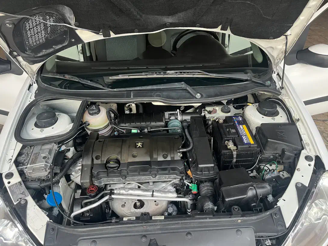 پژو 206 تیپ 6 - 1388