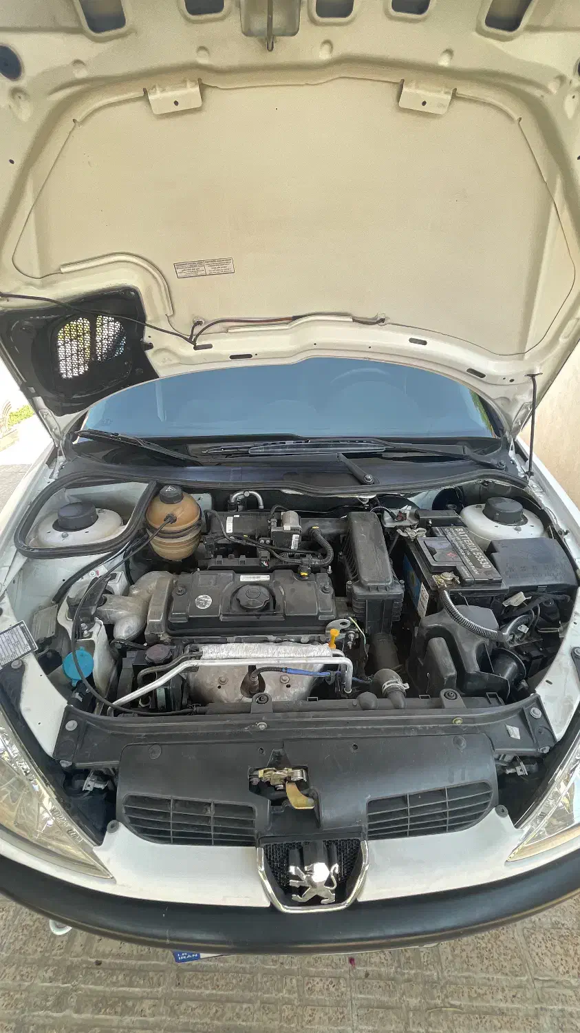 پژو 206 تیپ 2 - 1398