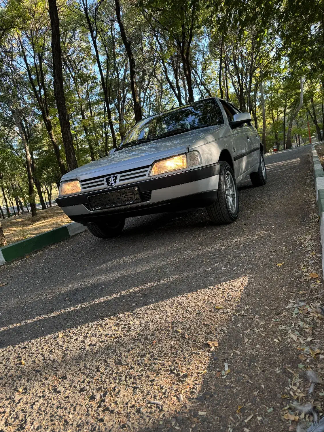 پژو 405 GLX - 1390