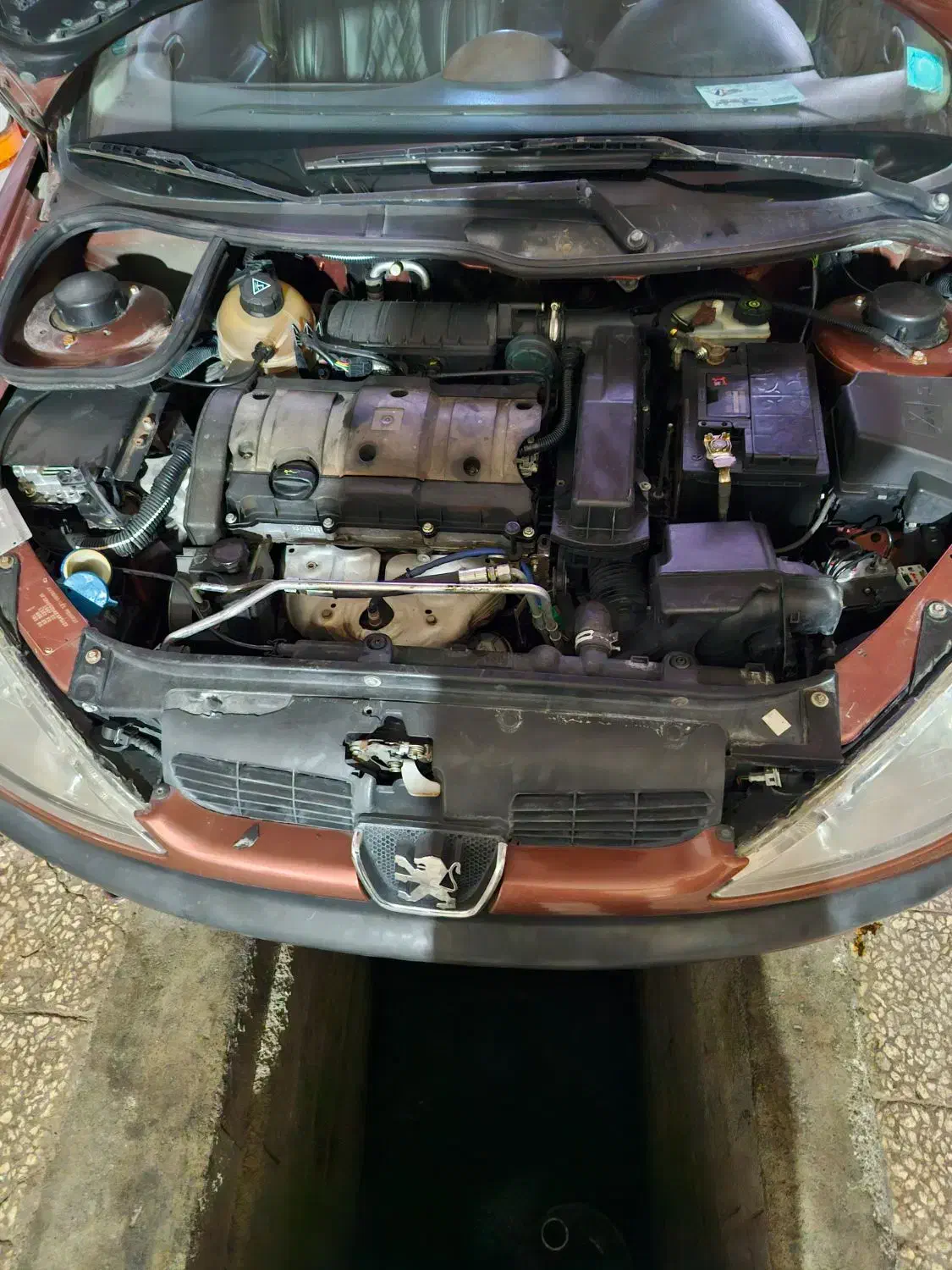 پژو 206 تیپ 5 - 1389