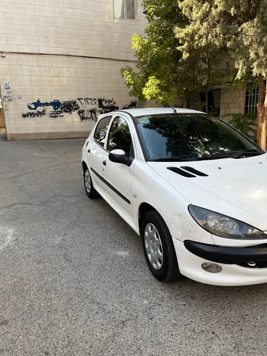 پژو 206 تیپ 2 - 1395