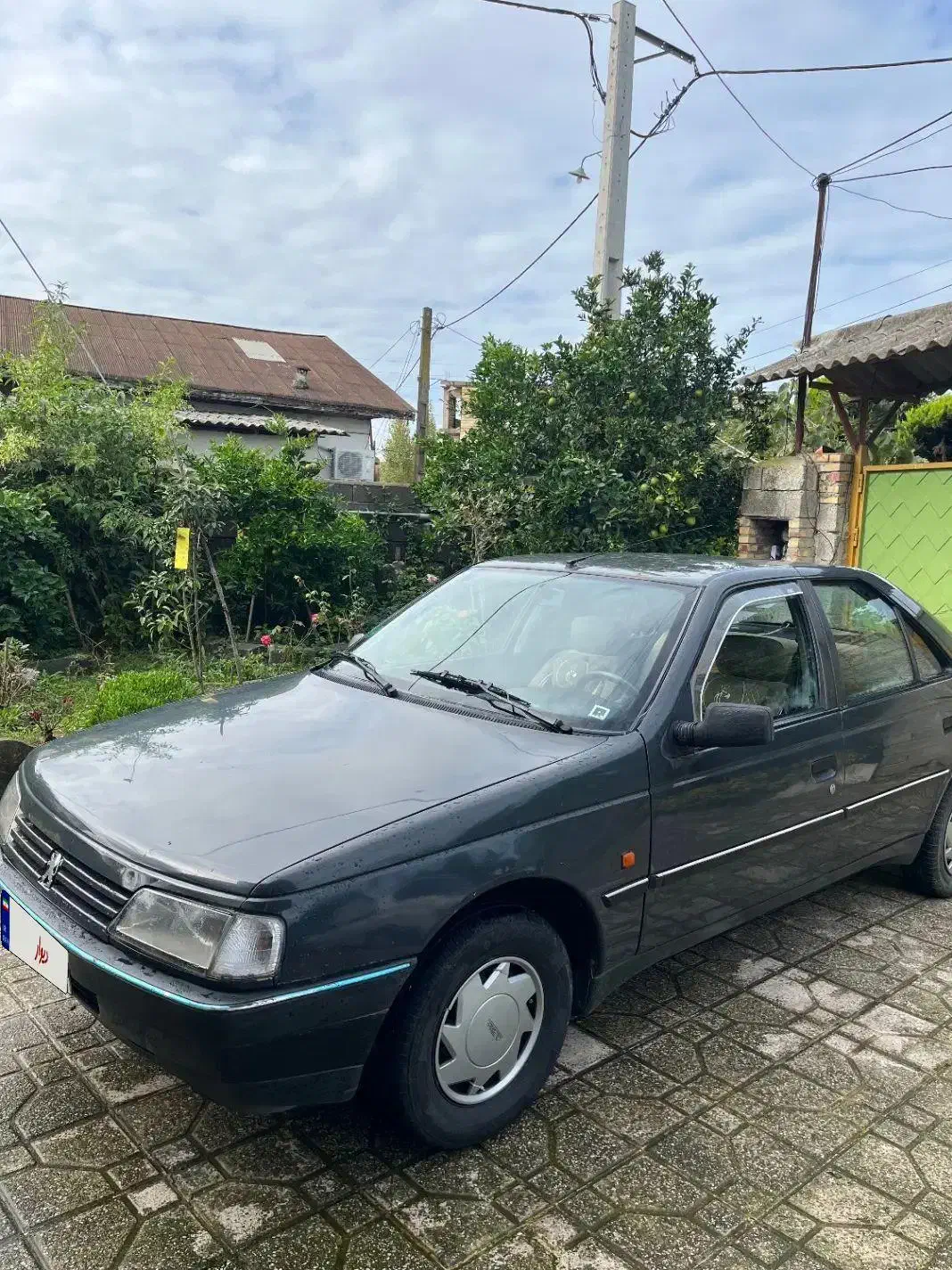 پژو آردی دوگانه سوز CNG - 1385