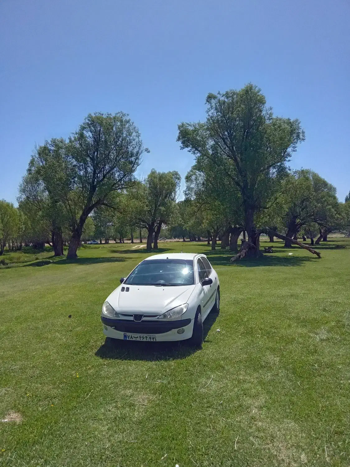 پژو 206 تیپ 2 - 1389