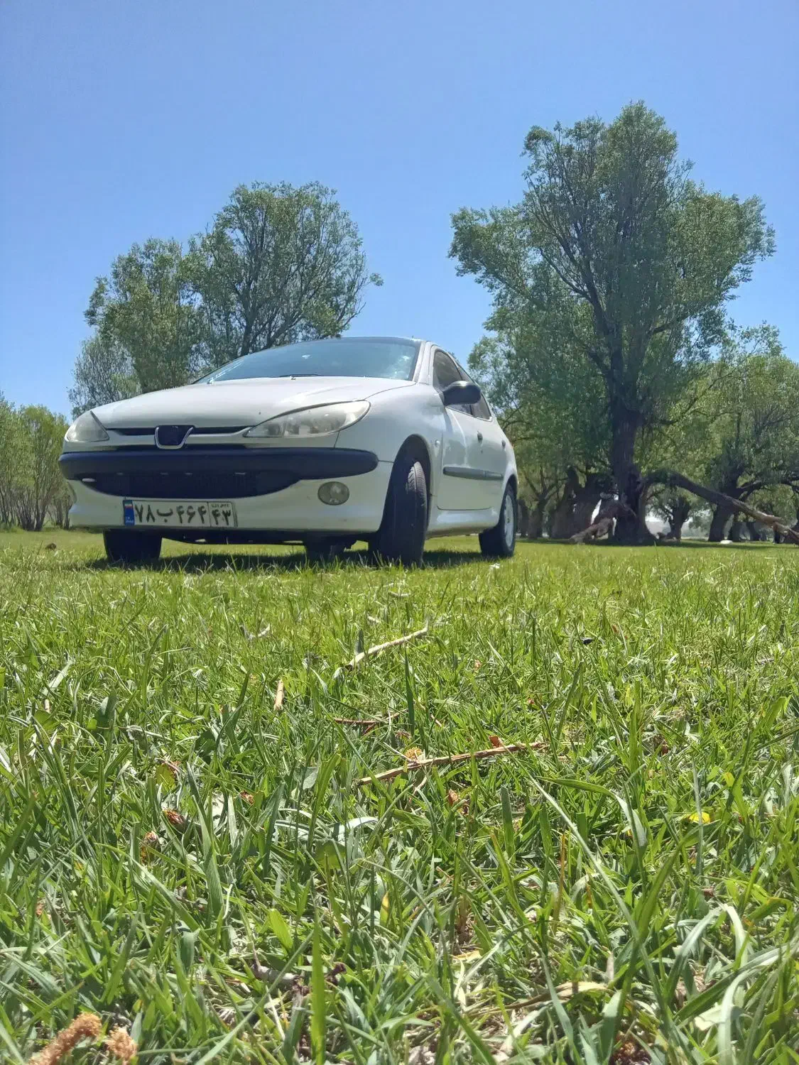 پژو 206 تیپ 2 - 1389