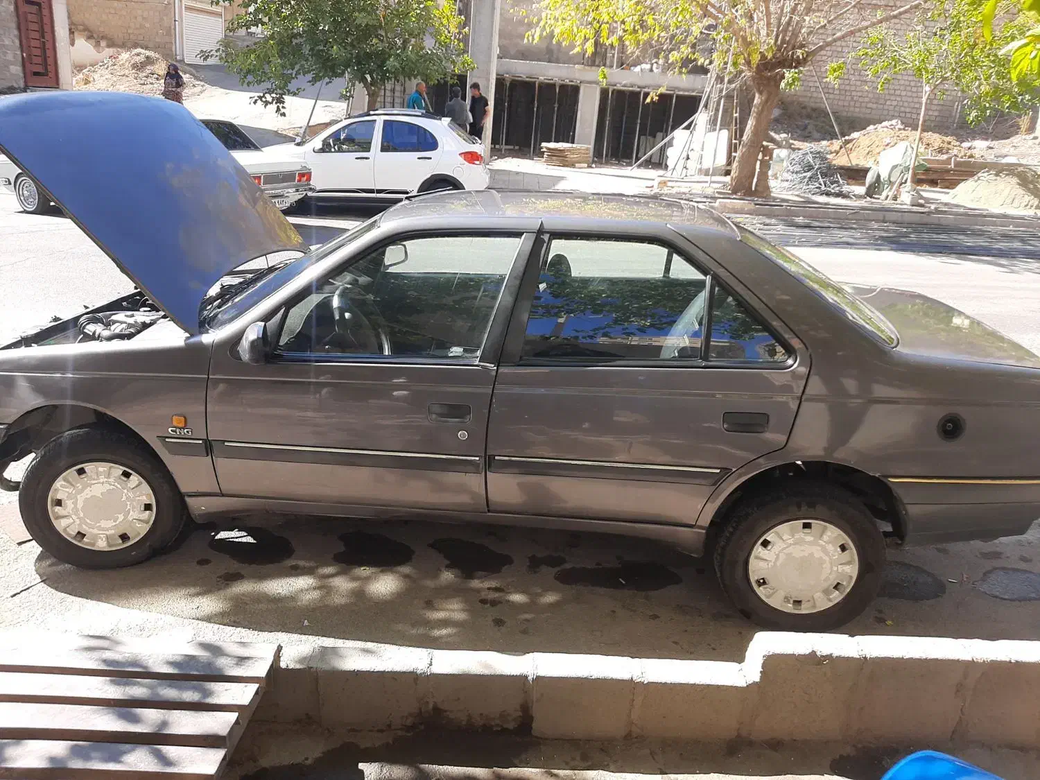 پژو روآ دوگانه سوز - 1386