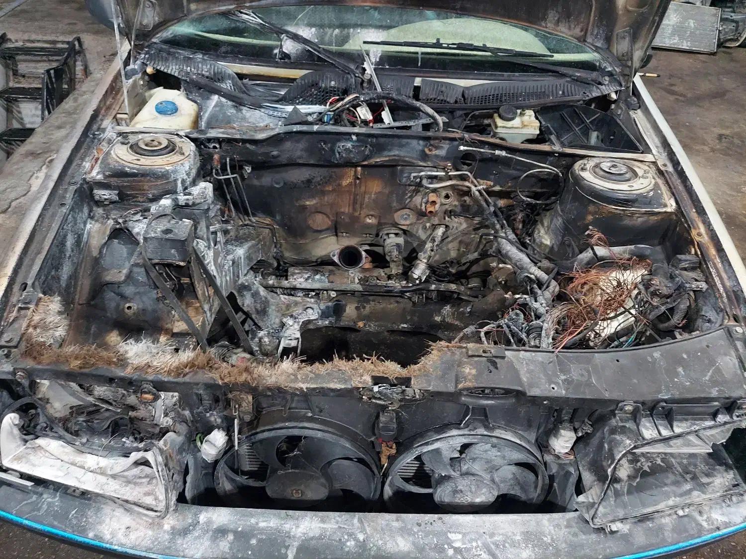 پژو 405 GLX - دوگانه سوز - 1384