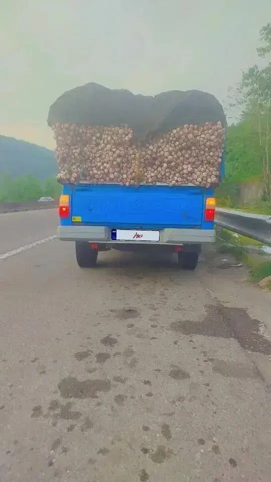 زامیاد وانت نیسانZ24 دوگانه سوز - 1386