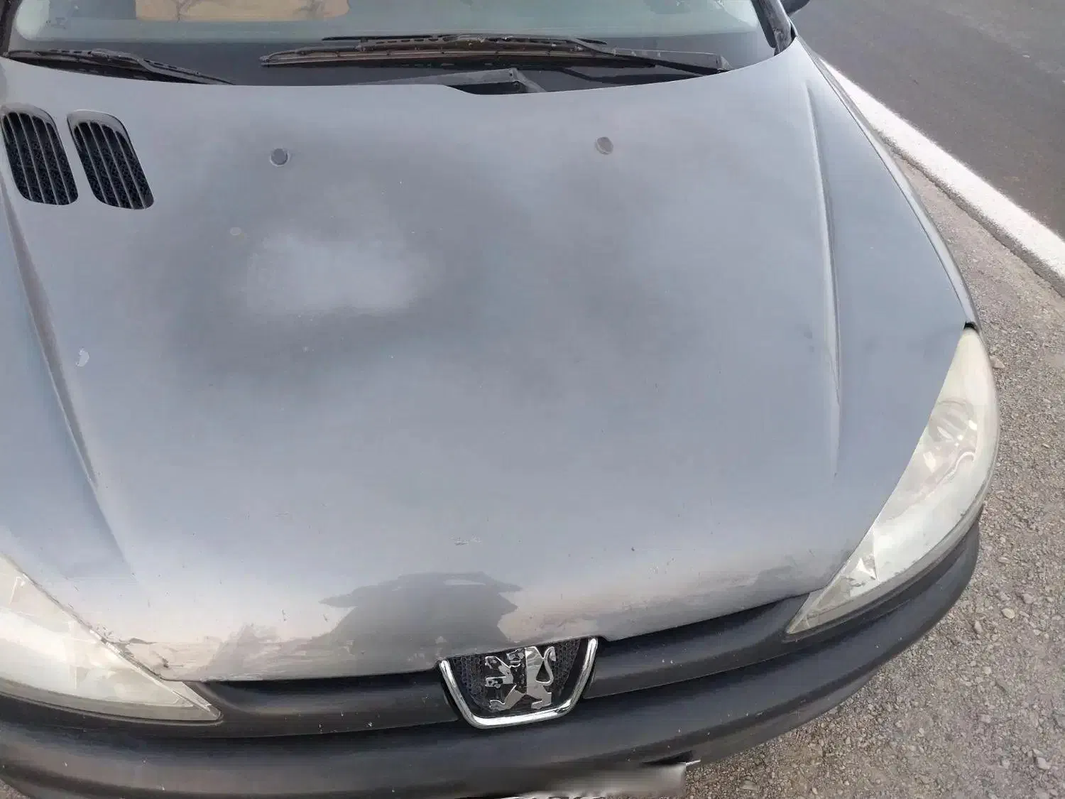 پژو 206 تیپ 2 - 1388