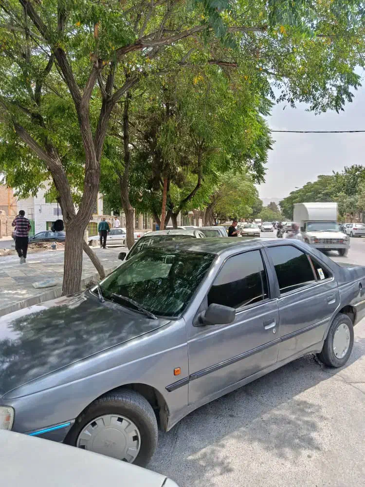 خودرو پژو، 405 آگهی ann_20960108