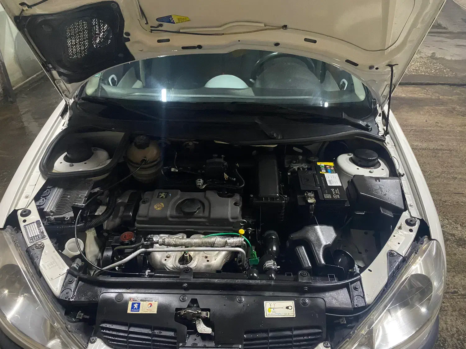 پژو 206 تیپ 2 - 1388