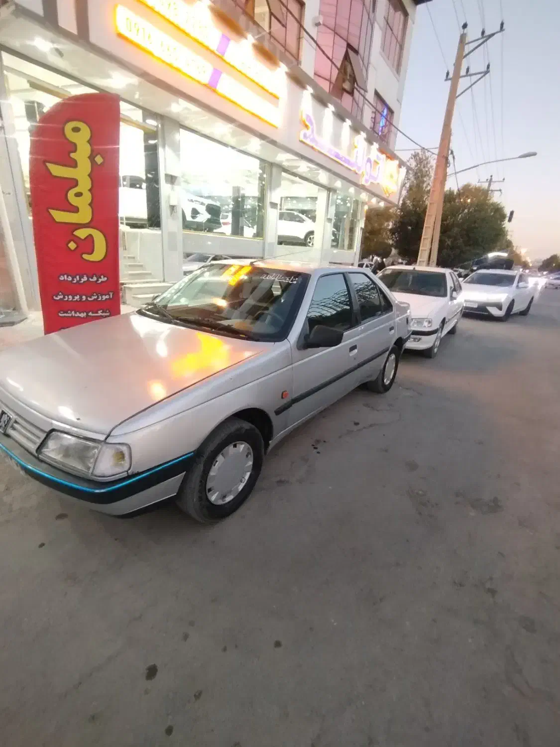 پژو 405 GLX - دوگانه سوز - 1391