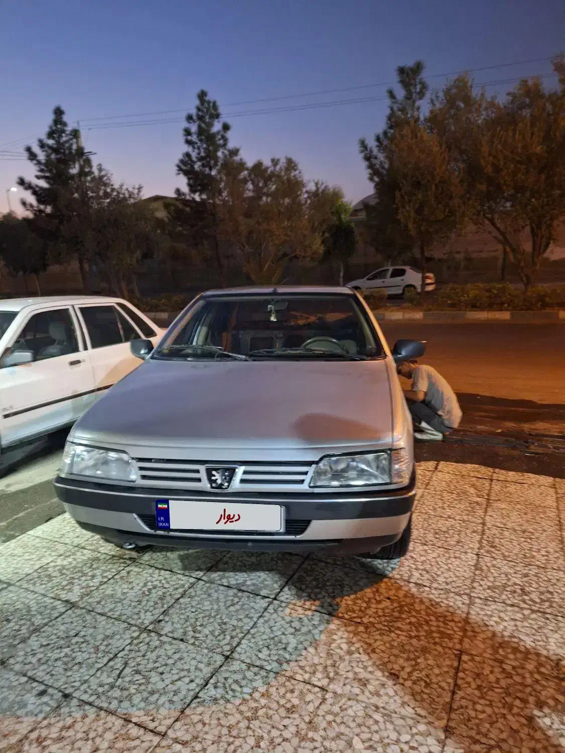 پژو 405 GLX - دوگانه سوز - 1388