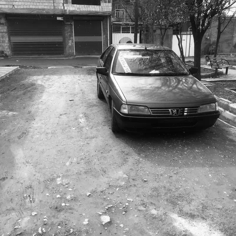 پژو 405 GLX - 1391