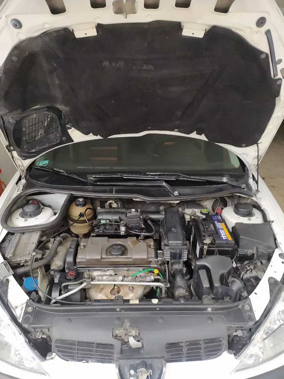 پژو 206 تیپ 2 - 1389