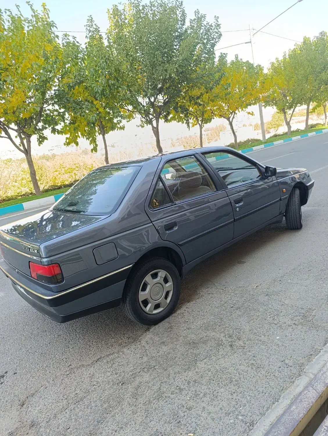 پژو 405 GLX - 1393