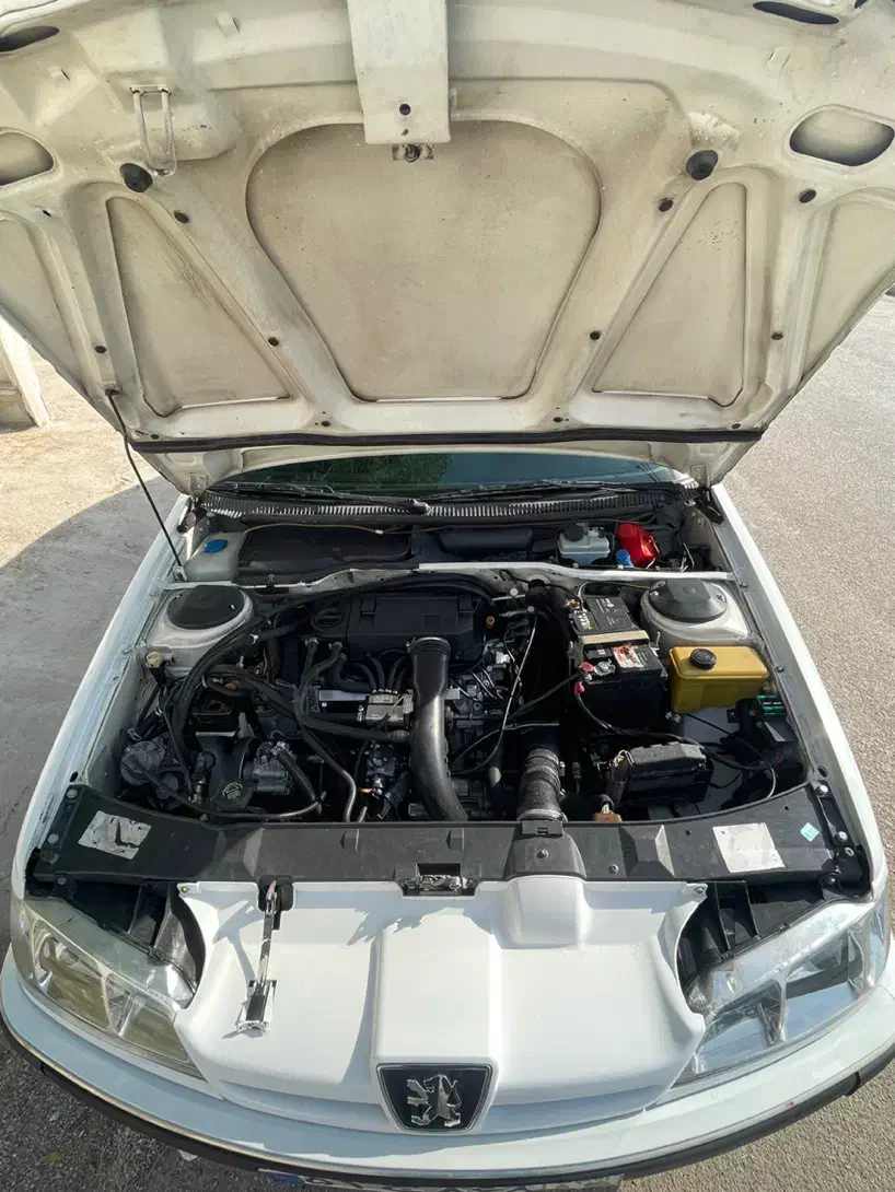 پژو پارس دوگانه سوز - 1394