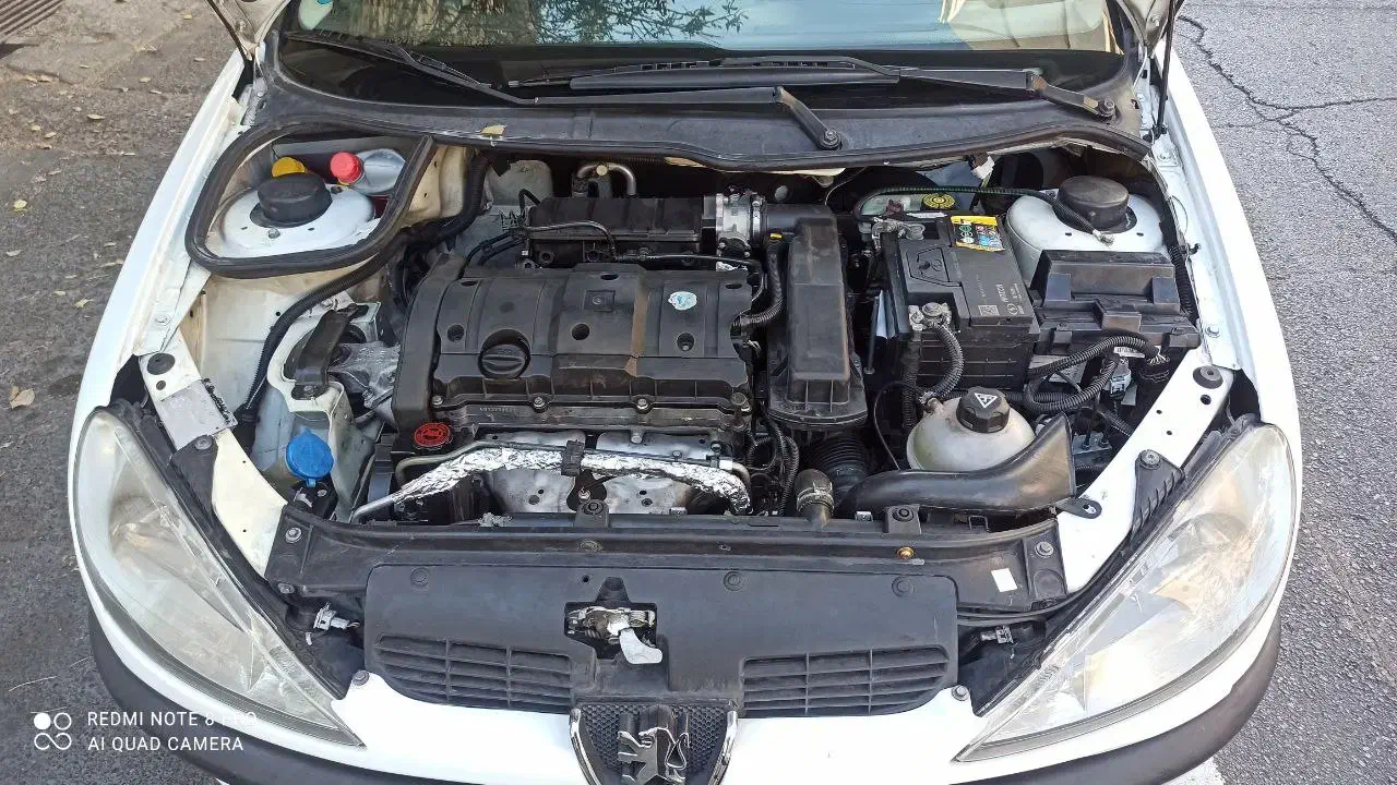 پژو 206 تیپ 5 - 1395