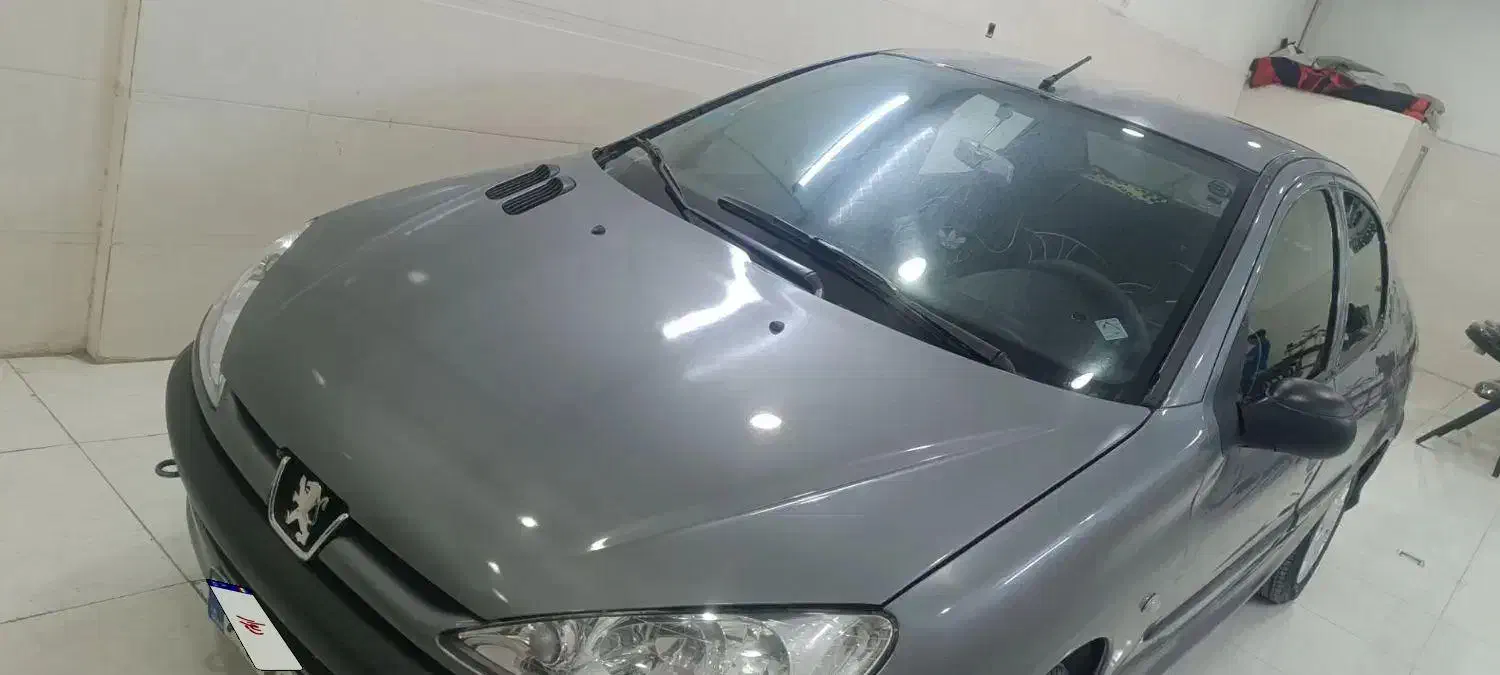 پژو 206 تیپ 2 - 1388