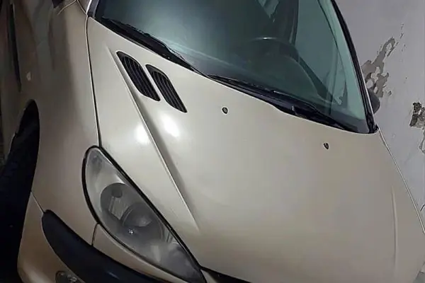 خودرو پژو، 206 آگهی ann_20961089